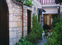 1507cypres.jpg (69660 bytes)