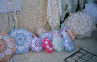 1508cypres.jpg (61544 bytes)