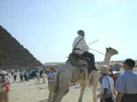 hcx_pyramids19_camel.jpg (40650 bytes)