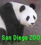 See the San Diego Zoo